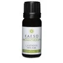 Kaeso Aromatherapy Lavender Essential Oil 10ml